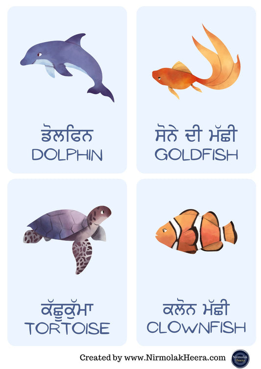 समुद्री जीव पंजाबी साधन