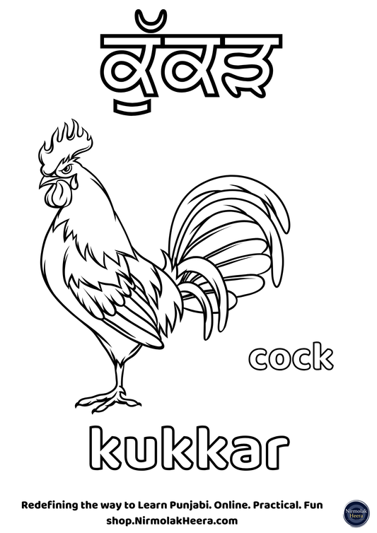 Birds Punjabi Punjabi Colouring Sheets Bundle [Digital Download]