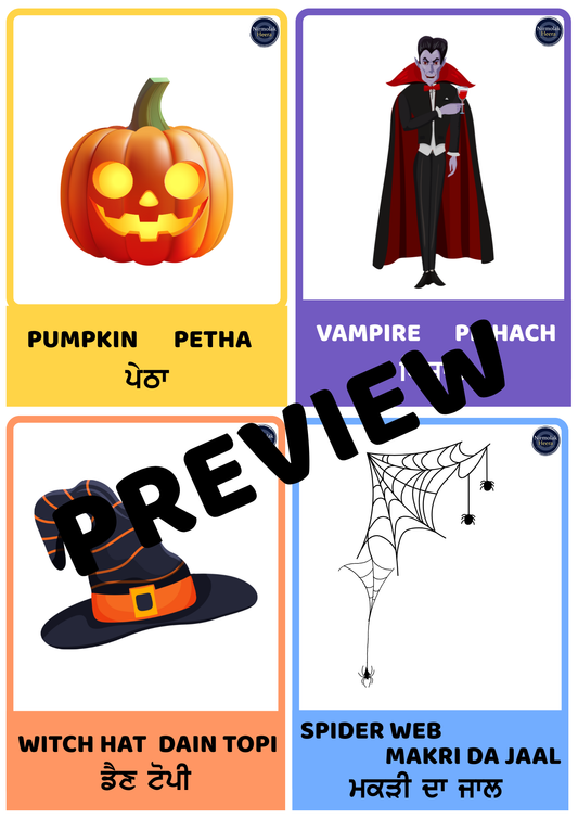 Halloween Punjabi Flashcards [Digital Download]