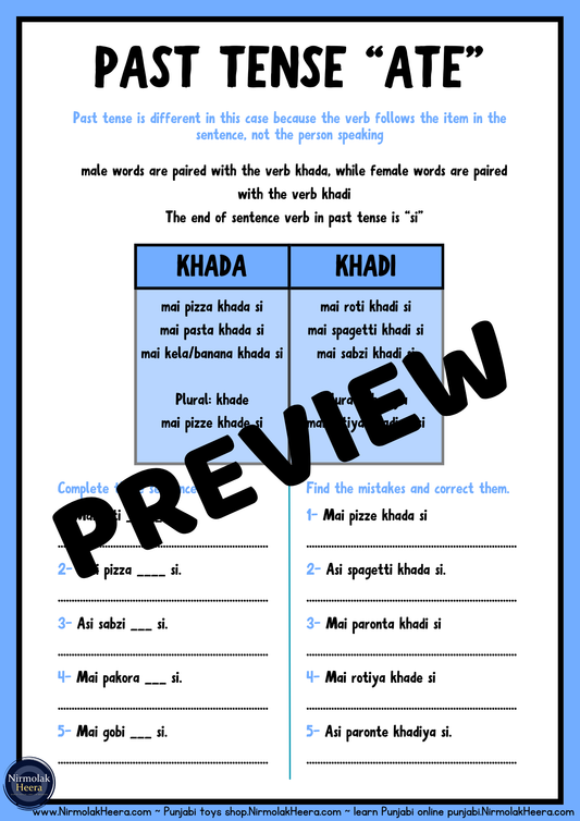 Past Tense ATE – Punjabi Verb Drill Worksheet